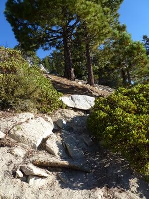 At 4.9 miles fr Ice House trailhead, go RIGHT UP THE ROCKS to Telegraph Peak