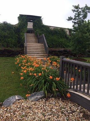 The Brides entrance to an outdoor wedding under our Pergola.