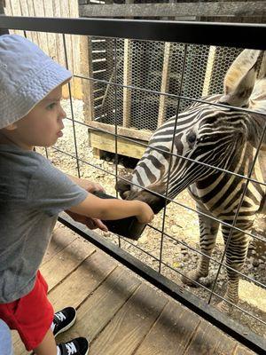 My great-grandson is three. Children will experience a great time here. The hayride is magical.