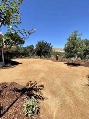 Decomposed granite patio w/ mixed native plantings