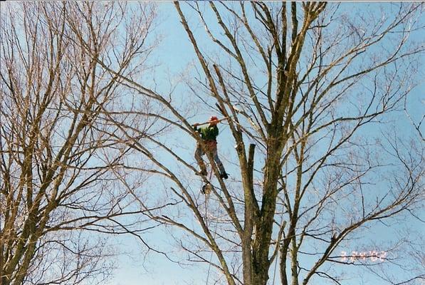 Abair Tree Service