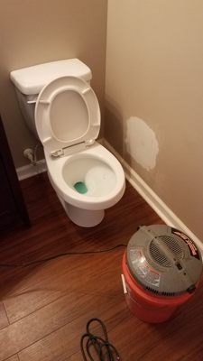 Toilet Replacement