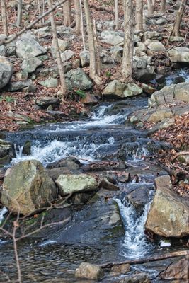 Mountain stream