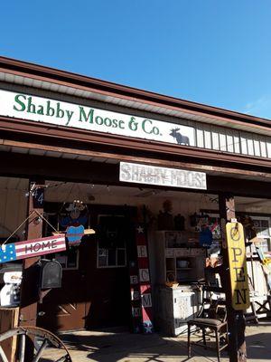 Shabby Moose & Co