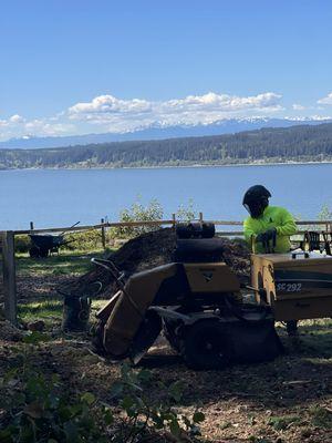 Stump grinding with a nice view!