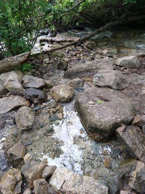 Ferguson Canyon