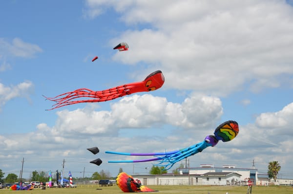 10th Annual Kite Fest Louisiane 2014