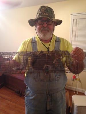 Squirrel Removal