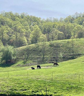 Down at the farm and up at the top