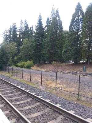 Tualatin Hills Nature Park trail.