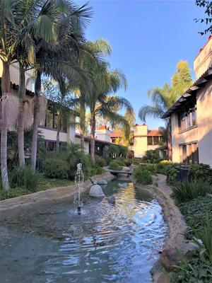 View from one of our Garden suites.