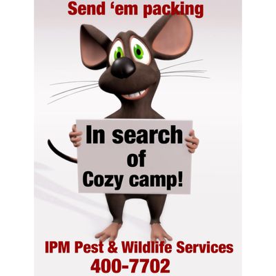 We will stop mice from invading your home and camp. Spring and fall scheduled services available.