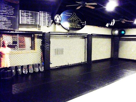 Over 1,200 Sq. Ft. of quality mats, cage, bags, waiting area, dressing rooms, showers, Pro Shop and equipment.