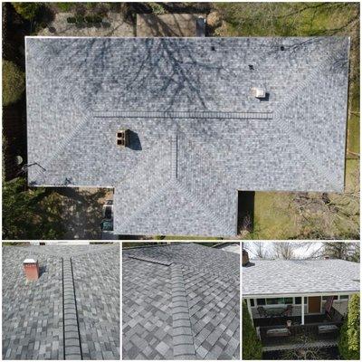 Silverback Roofing