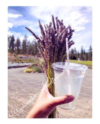 Outdoor photo of Lavender lemonade