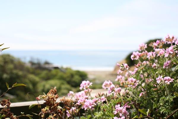 A shot from our balcony with the ocean in the background