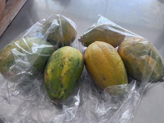 Local papayas for soup making