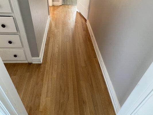 Omar's Hardwood Floors