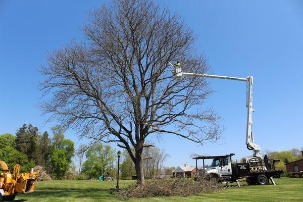 Tree Pruning.