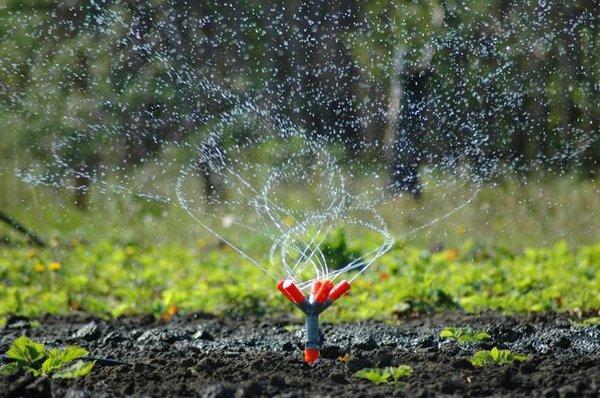 Irrigation Sprinkler Installation and Repair