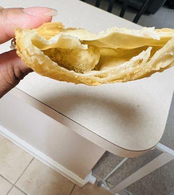 Chicken empanada