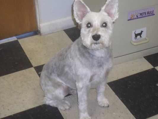 Hi I love cameras and getting groomed