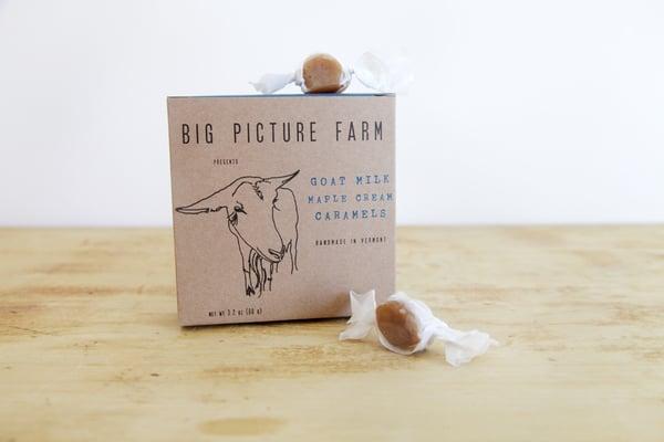 Big Picture Farm