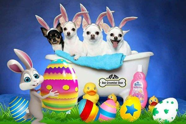 Happy Easter from Dog Grooming Shop