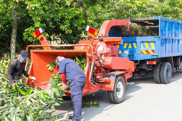 Down To The Root Tree Service