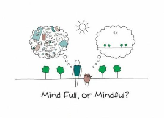 Mindfulness teaching and meditation adolescents - adults