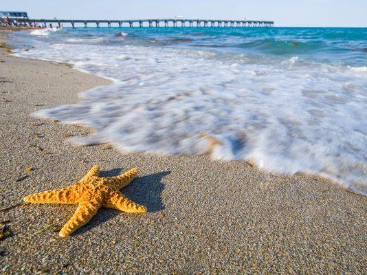 Lake Worth Pier, Lake Worth Beach FL