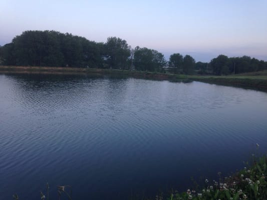 One of several ponds