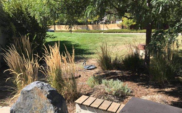 Landscape install and maintenance