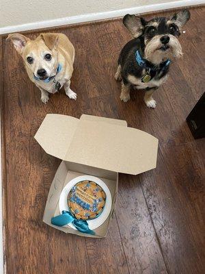 Boys posing with the cake.