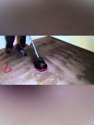 Carpet cleaning