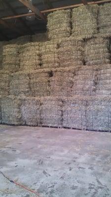 Hay for our boarded horses and enough to sell to all our customers and you!