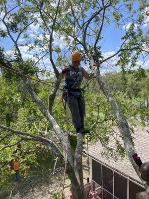 A little limb walking to get to what the client needed done.