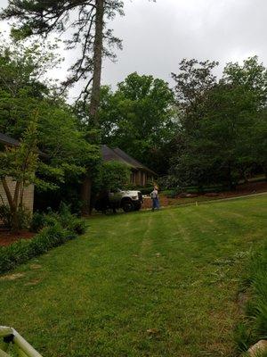 Greenbriar Tree Service