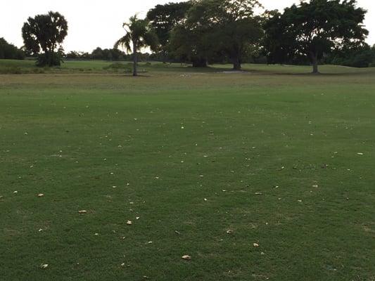 Pompano Beach Golf Course-Bob Loring Golf Shop