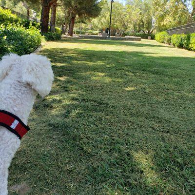 Open July 2. Grass is green today! We have the place to ourselves.