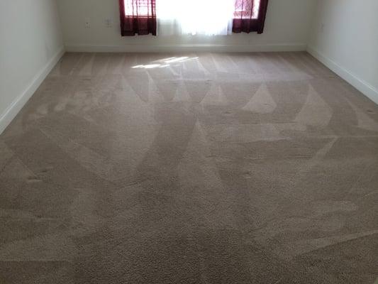 Steam/shampoo carpet cleaning