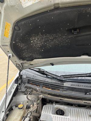 Splatter on the inside of the hood could be a water pump leaking that hits a belt and throws liquid upwards.