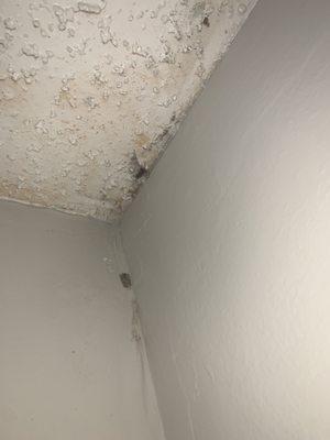 Mildew and mold (confirmed by the health department) I was forced to live with for a year in their Park at Hoover property