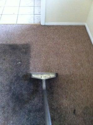 Acadiana Carpet Cleaning