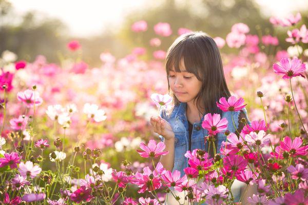 Learning about nature