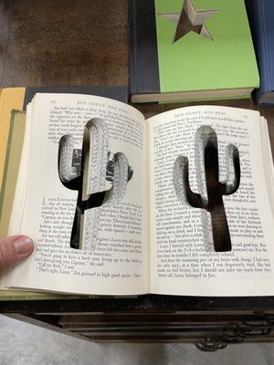 Cleverly carved out books