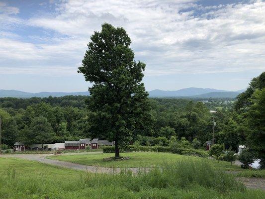 6566 Marymart Farm Road - 19 acres for sale in Crozet, Va