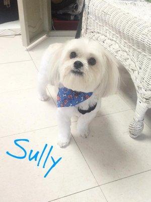 Sully