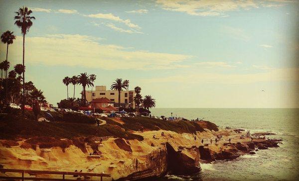 Beautiful La Jolla Coastline