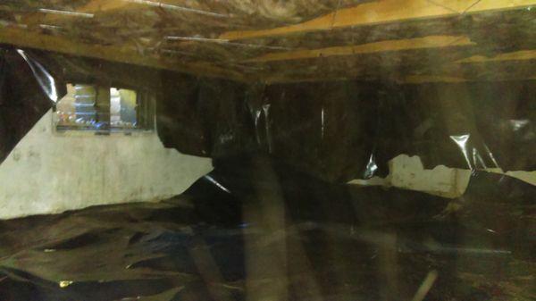 Full cleanout and re-insulate after rodent infestion.